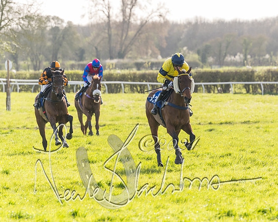 Race 5 - Restricted Race (84 of 132)