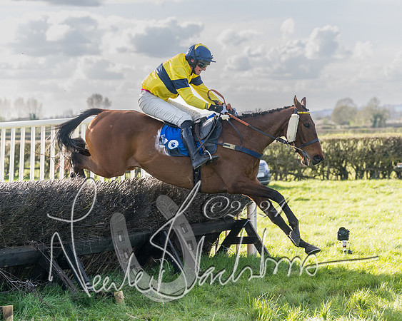 Race 5 - Restricted Race (92 of 132)