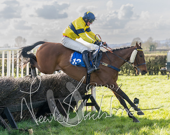Race 5 - Restricted Race (93 of 132)