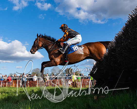 Race 5 - Restricted Race (94 of 132)
