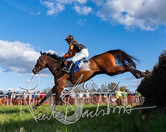 Race 5 - Restricted Race (95 of 132)