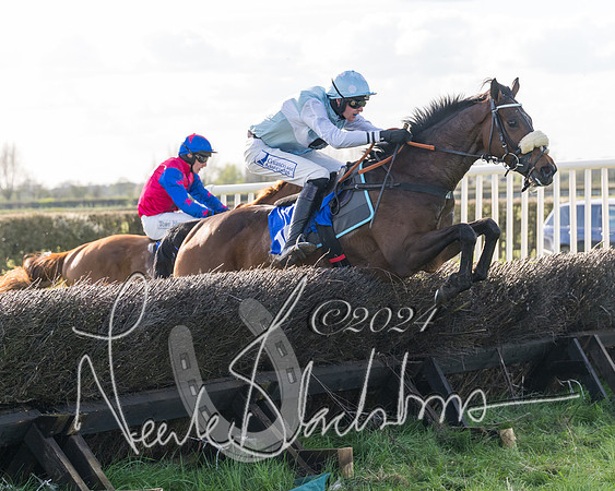Race 5 - Restricted Race (100 of 132)