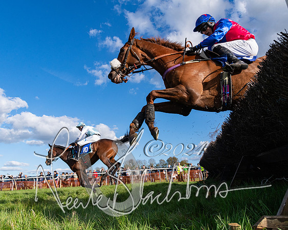 Race 5 - Restricted Race (103 of 132)