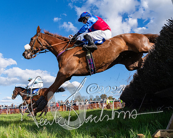 Race 5 - Restricted Race (105 of 132)