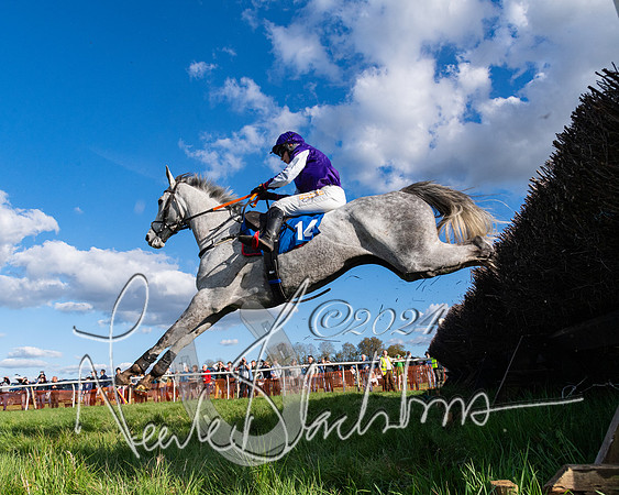 Race 5 - Restricted Race (107 of 132)
