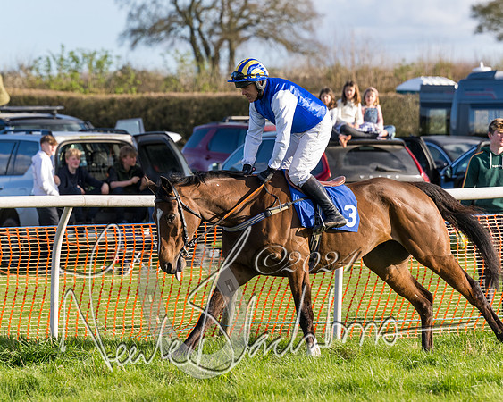 Race 6 - Goffs Young Horse Maiden (1 of 119)