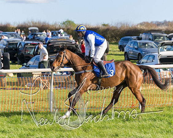 Race 6 - Goffs Young Horse Maiden (2 of 119)