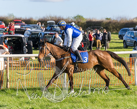 Race 6 - Goffs Young Horse Maiden (3 of 119)