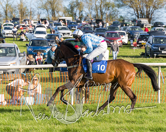Race 6 - Goffs Young Horse Maiden (4 of 119)