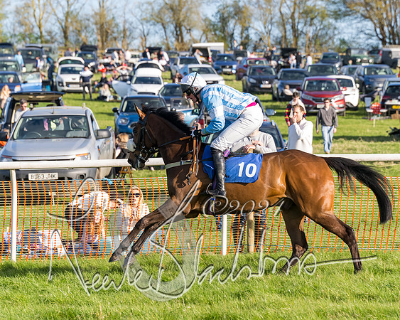 Race 6 - Goffs Young Horse Maiden (5 of 119)