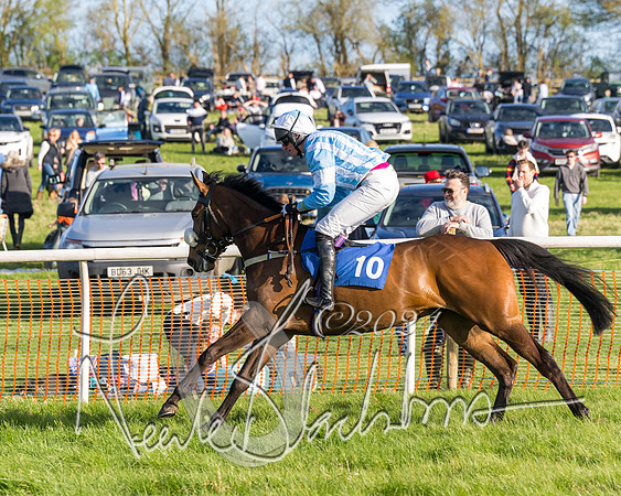 Race 6 - Goffs Young Horse Maiden (6 of 119)