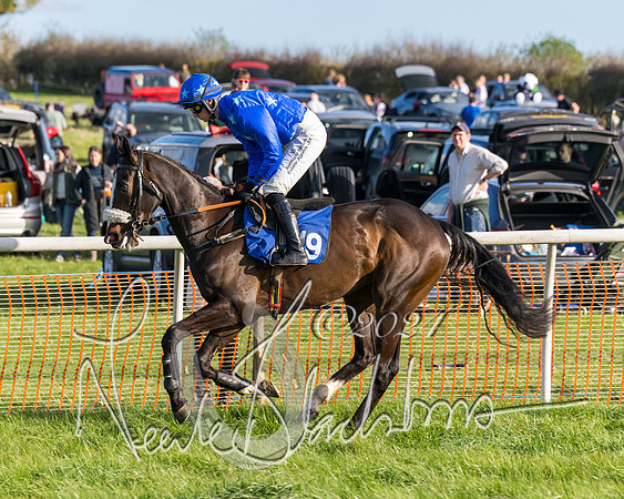 Race 6 - Goffs Young Horse Maiden (7 of 119)