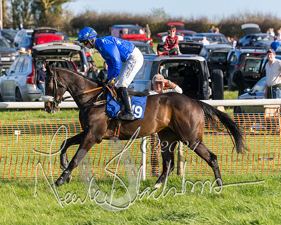 Race 6 - Goffs Young Horse Maiden (8 of 119)