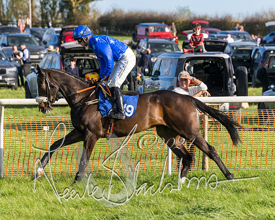 Race 6 - Goffs Young Horse Maiden (9 of 119)