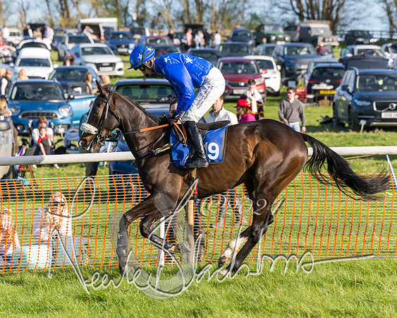Race 6 - Goffs Young Horse Maiden (10 of 119)