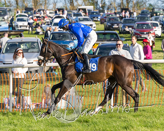 Race 6 - Goffs Young Horse Maiden (11 of 119)