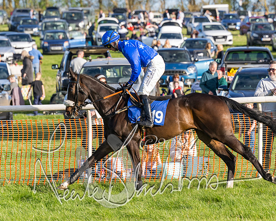 Race 6 - Goffs Young Horse Maiden (12 of 119)