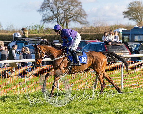 Race 6 - Goffs Young Horse Maiden (14 of 119)