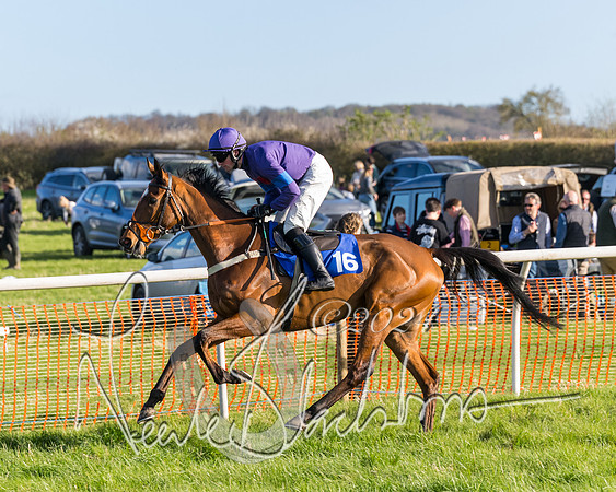 Race 6 - Goffs Young Horse Maiden (16 of 119)