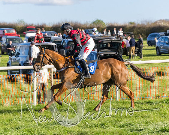 Race 6 - Goffs Young Horse Maiden (20 of 119)