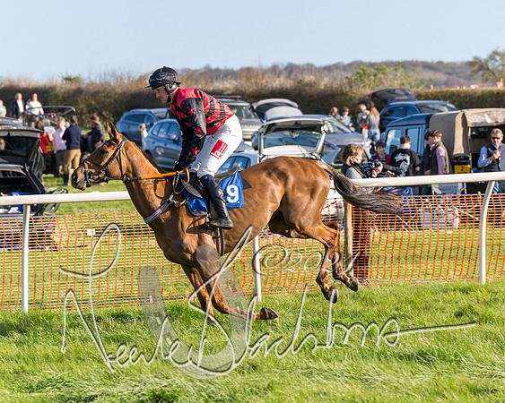 Race 6 - Goffs Young Horse Maiden (19 of 119)