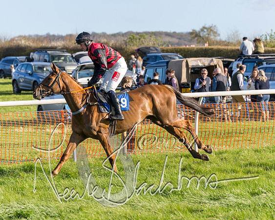 Race 6 - Goffs Young Horse Maiden (18 of 119)