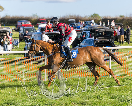 Race 6 - Goffs Young Horse Maiden (21 of 119)
