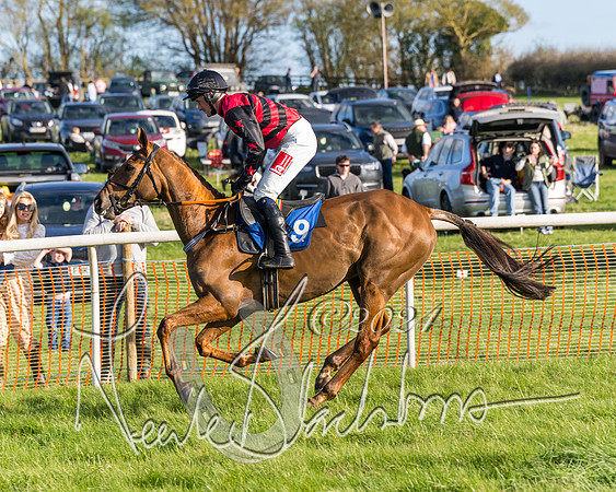 Race 6 - Goffs Young Horse Maiden (22 of 119)