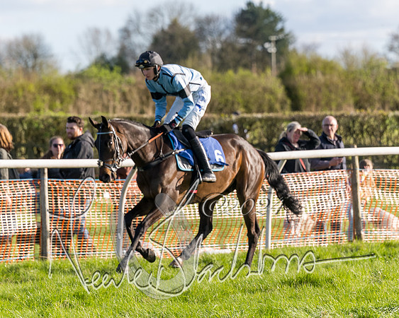 Race 6 - Goffs Young Horse Maiden (24 of 119)