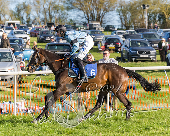 Race 6 - Goffs Young Horse Maiden (26 of 119)