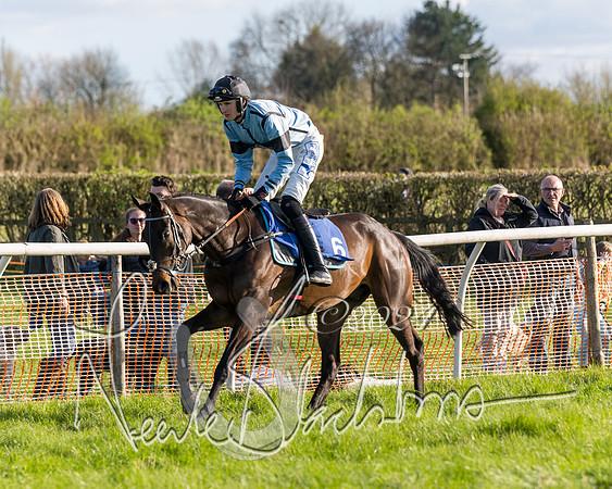 Race 6 - Goffs Young Horse Maiden (25 of 119)