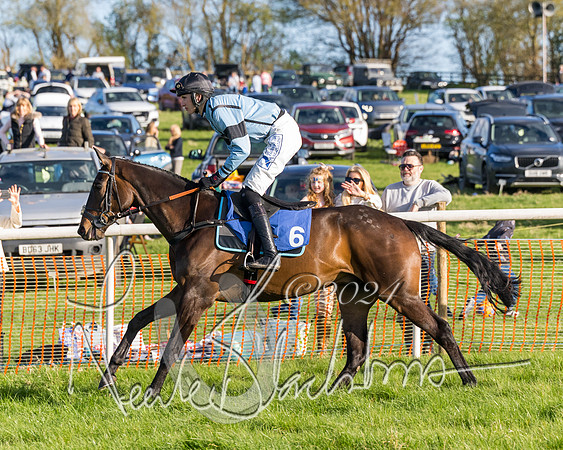 Race 6 - Goffs Young Horse Maiden (27 of 119)