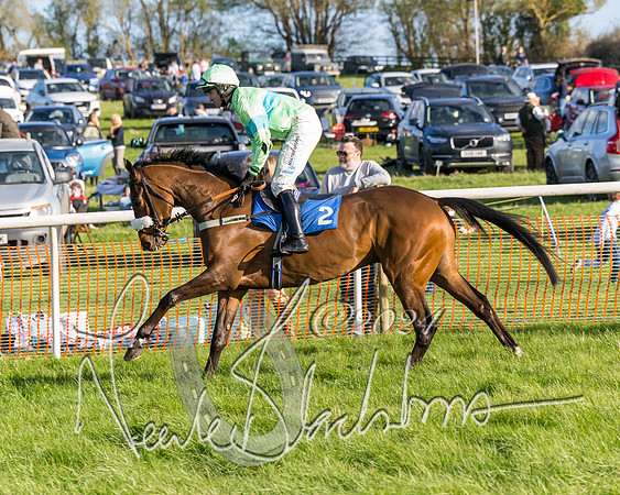 Race 6 - Goffs Young Horse Maiden (28 of 119)