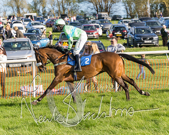 Race 6 - Goffs Young Horse Maiden (29 of 119)