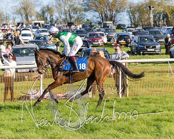 Race 6 - Goffs Young Horse Maiden (31 of 119)