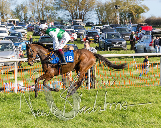 Race 6 - Goffs Young Horse Maiden (30 of 119)