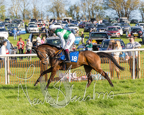 Race 6 - Goffs Young Horse Maiden (32 of 119)
