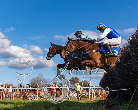 Race 6 - Goffs Young Horse Maiden (36 of 119)