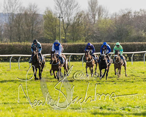 Race 6 - Goffs Young Horse Maiden (33 of 119)