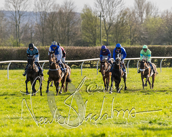 Race 6 - Goffs Young Horse Maiden (34 of 119)