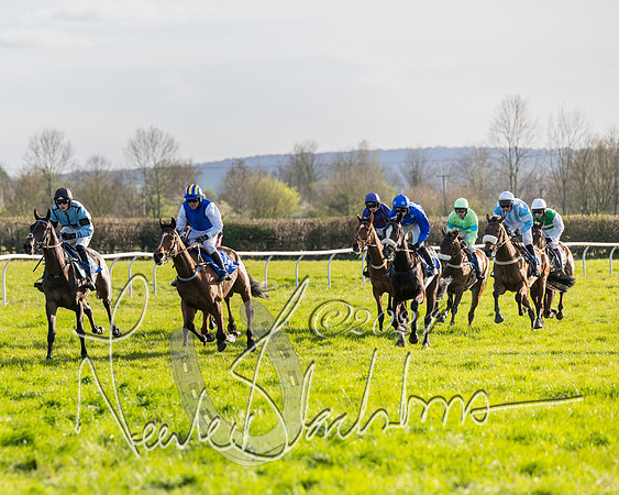 Race 6 - Goffs Young Horse Maiden (35 of 119)