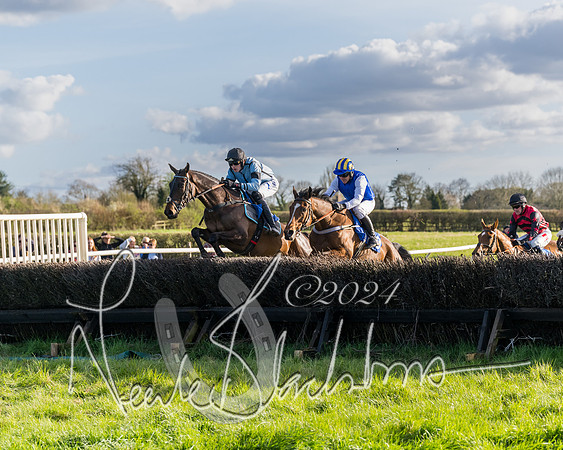 Race 6 - Goffs Young Horse Maiden (37 of 119)