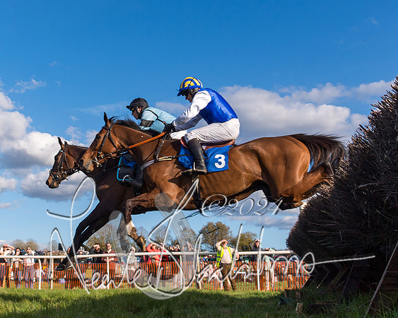 Race 6 - Goffs Young Horse Maiden (38 of 119)