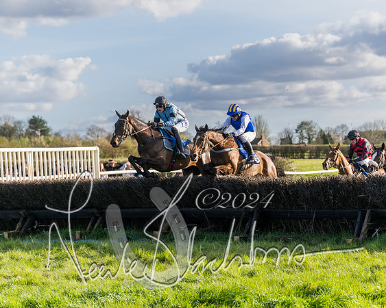 Race 6 - Goffs Young Horse Maiden (39 of 119)