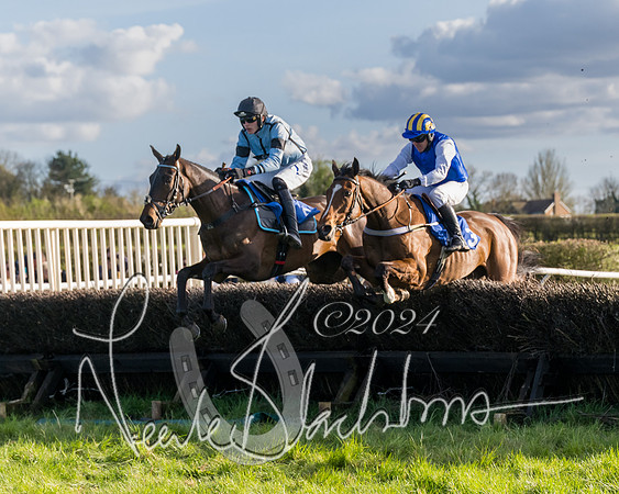 Race 6 - Goffs Young Horse Maiden (41 of 119)