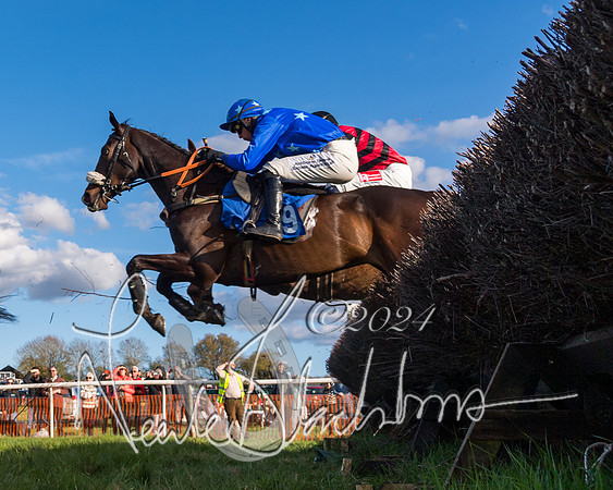 Race 6 - Goffs Young Horse Maiden (43 of 119)