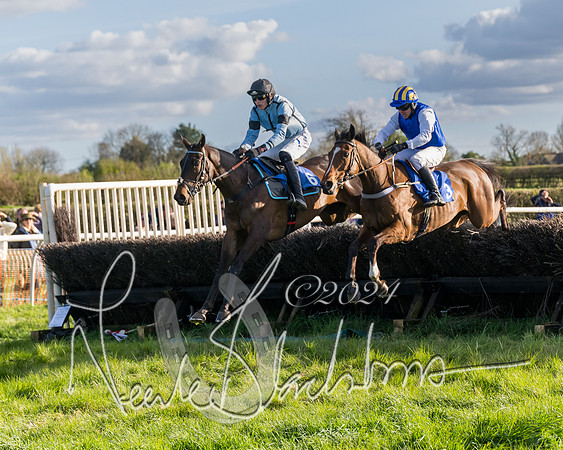 Race 6 - Goffs Young Horse Maiden (42 of 119)