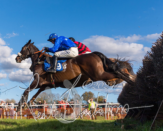 Race 6 - Goffs Young Horse Maiden (45 of 119)