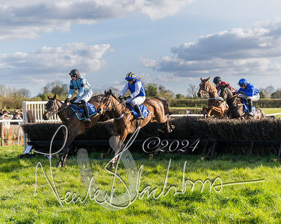 Race 6 - Goffs Young Horse Maiden (44 of 119)