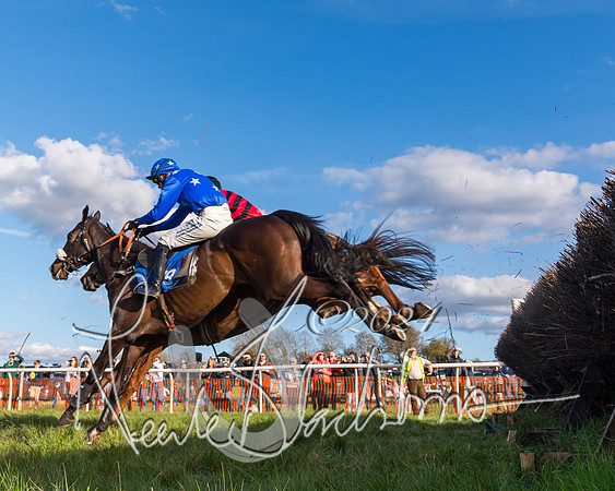 Race 6 - Goffs Young Horse Maiden (47 of 119)